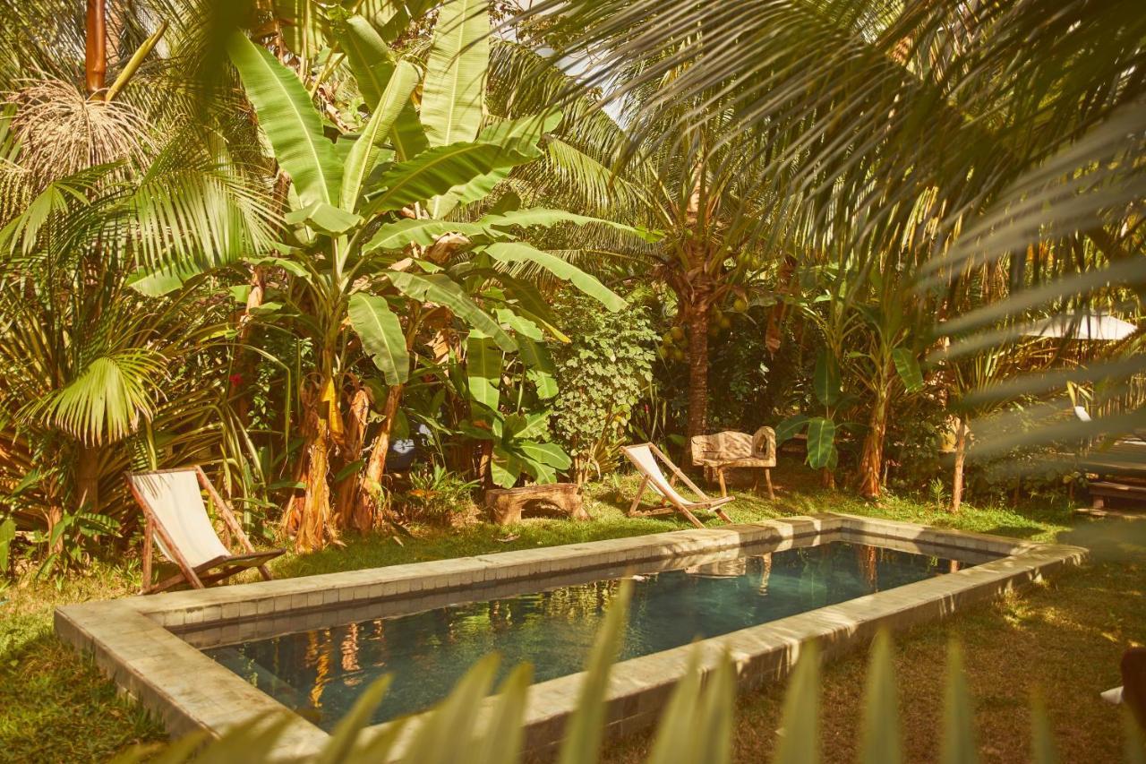 Hotel Pousada Peixe Do Mato São Miguel dos Milagres Exterior foto