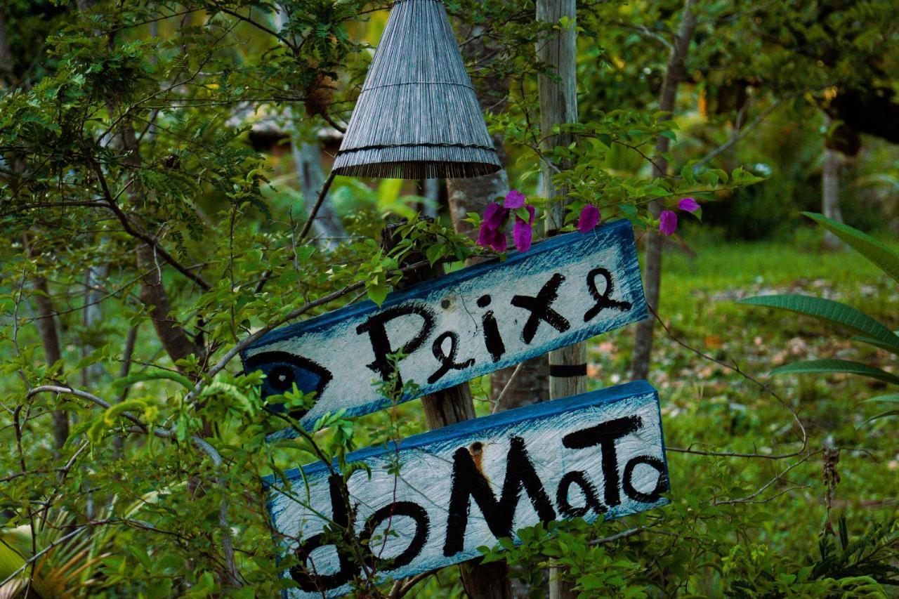 Hotel Pousada Peixe Do Mato São Miguel dos Milagres Exterior foto